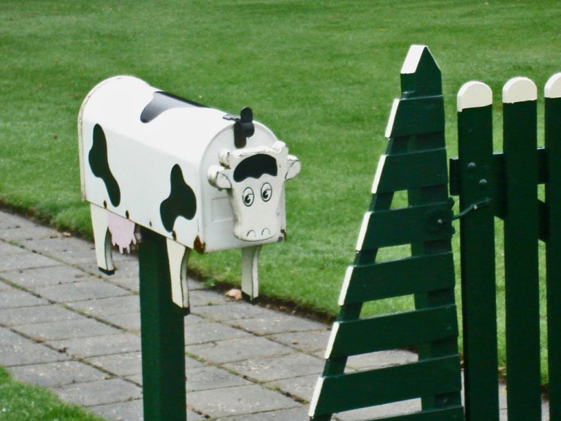 een koe als brievenbus